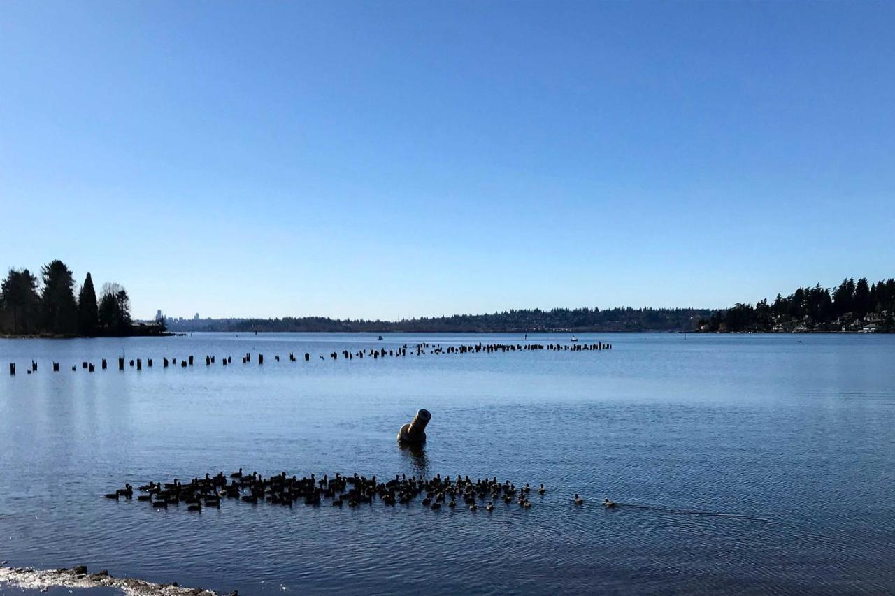 Seattle-Area Studio, 2 Mi To St Edward State Park! Kenmore Exteriör bild